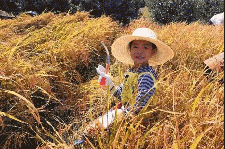 从化秋收亲子节